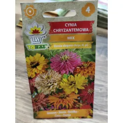 Cynia chryzantemowa Mix Cynia chryzantemowa Mix